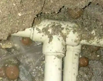 吉隆测漏水多少钱