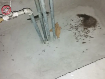 吉隆卫生间测漏水价格明细