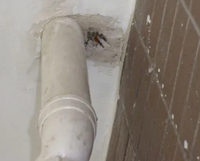 吉隆漏水检测哪家好